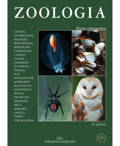 Zoologia