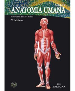 Anatomia