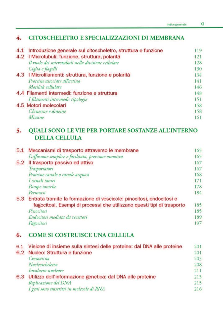 https://www.idelsongnocchi.com/shop/wp-content/uploads/2021/06/DINI-Citologia-e-Istologia-AVANTESTO_Pagina_10-718x1024.jpg