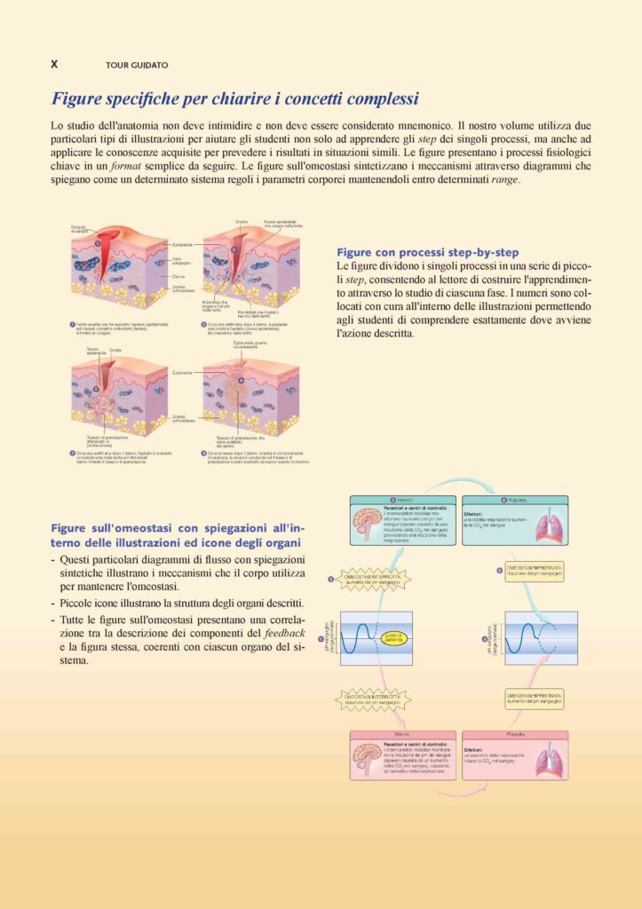 https://www.idelsongnocchi.com/shop/wp-content/uploads/2021/06/Seeley-ANATOMIA.-V-Edizione.-Avantesto_Pagina_09-723x1024.jpg