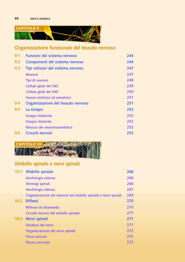 https://www.idelsongnocchi.com/shop/wp-content/uploads/2021/06/Seeley-ANATOMIA.-V-Edizione.-Avantesto_Pagina_18-1-723x1024.jpg