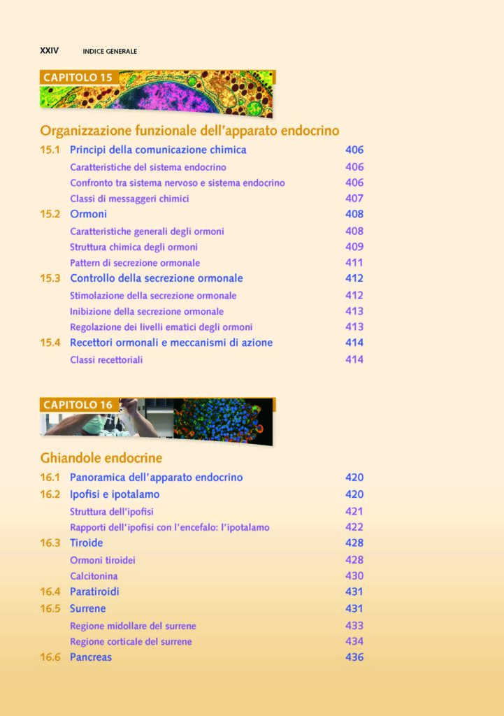 https://www.idelsongnocchi.com/shop/wp-content/uploads/2021/06/Seeley-ANATOMIA.-V-Edizione.-Avantesto_Pagina_22-721x1024.jpg