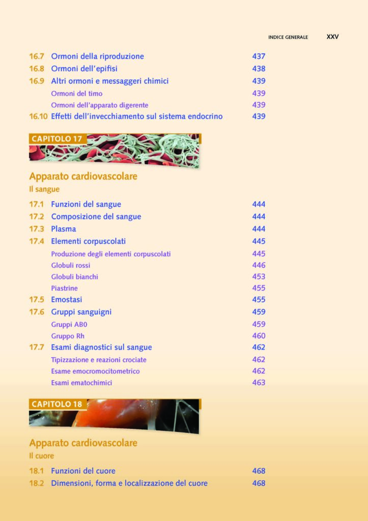 https://www.idelsongnocchi.com/shop/wp-content/uploads/2021/06/Seeley-ANATOMIA.-V-Edizione.-Avantesto_Pagina_23-1-723x1024.jpg