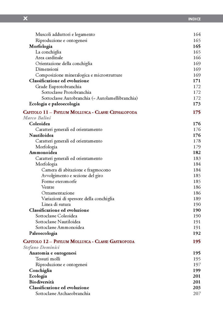 https://www.idelsongnocchi.com/shop/wp-content/uploads/2022/09/avantesto-paleontologia_Pagina_10-723x1024.jpg