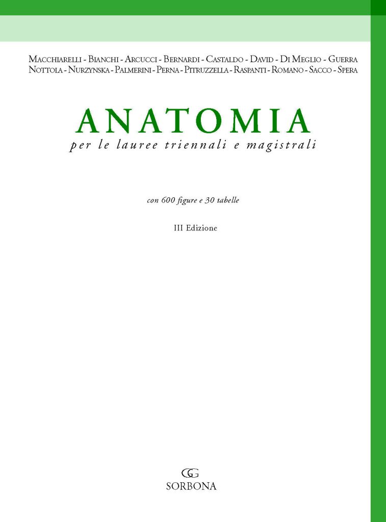 https://www.idelsongnocchi.com/shop/wp-content/uploads/2023/10/Avantesto-Macchiarelli-Anatomia-lauree-triennali-III-Ed._Pagina_03-757x1024.jpg