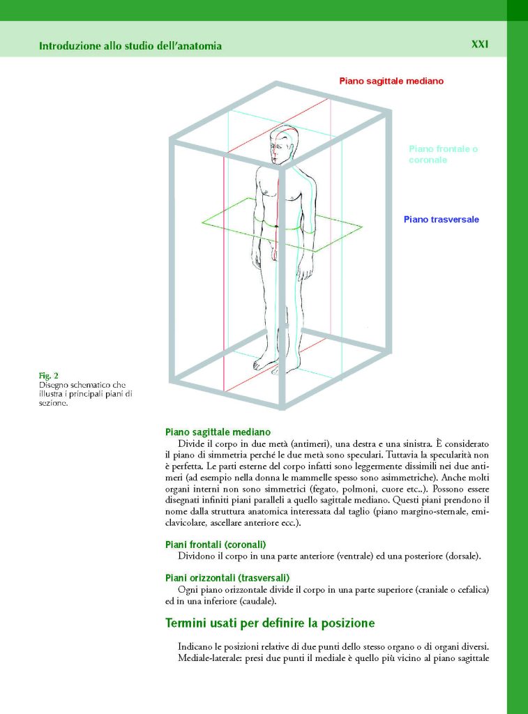 https://www.idelsongnocchi.com/shop/wp-content/uploads/2023/10/Avantesto-Macchiarelli-Anatomia-lauree-triennali-III-Ed._Pagina_21-757x1024.jpg