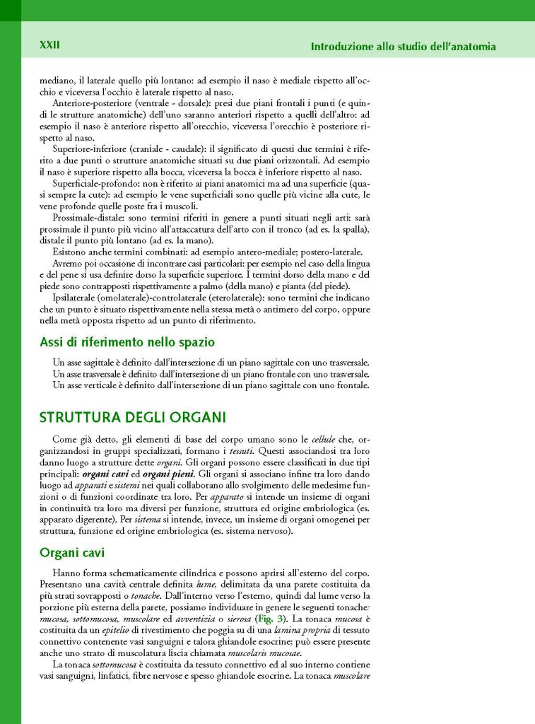 https://www.idelsongnocchi.com/shop/wp-content/uploads/2023/10/Avantesto-Macchiarelli-Anatomia-lauree-triennali-III-Ed._Pagina_22-757x1024.jpg