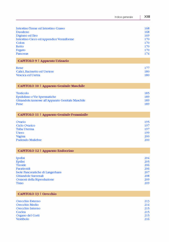 https://www.idelsongnocchi.com/shop/wp-content/uploads/2024/06/Avantesto-AU-x-Professioni-sanitarie_Pagina_13-718x1024.jpg