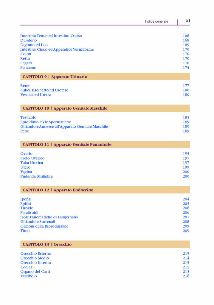 https://www.idelsongnocchi.com/shop/wp-content/uploads/2024/06/Avantesto-AU-x-scienze-motorie_Pagina_11-718x1024.jpg